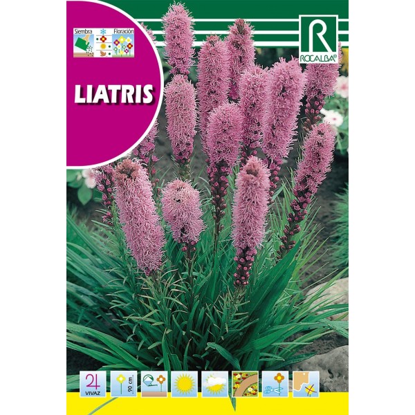 LIATRIS SEMILLA