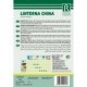 LINTERNA CHINA SEMILLA