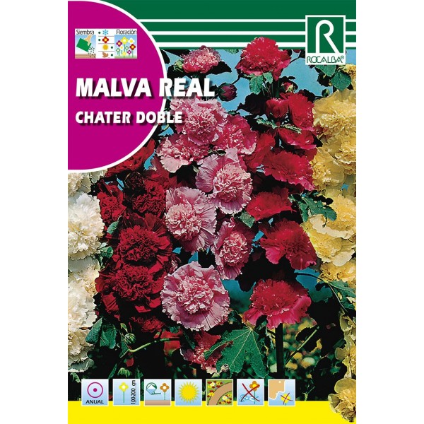 MALVA REAL SEMILLA