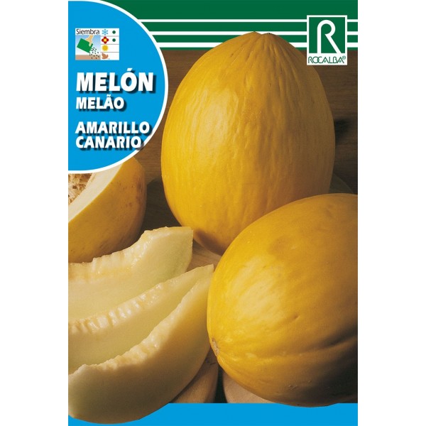 MELON AMARILLO CANARIO SEMILLA