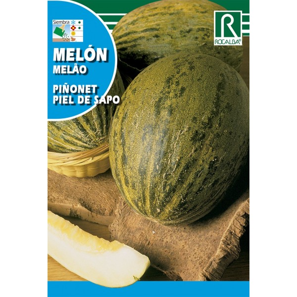 MELON PIÑONET PIEL DE SAPO SEMILLA