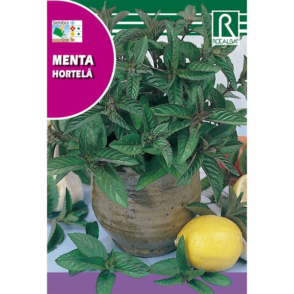 MENTA (MENTHA PIPERITA) SEMILLA