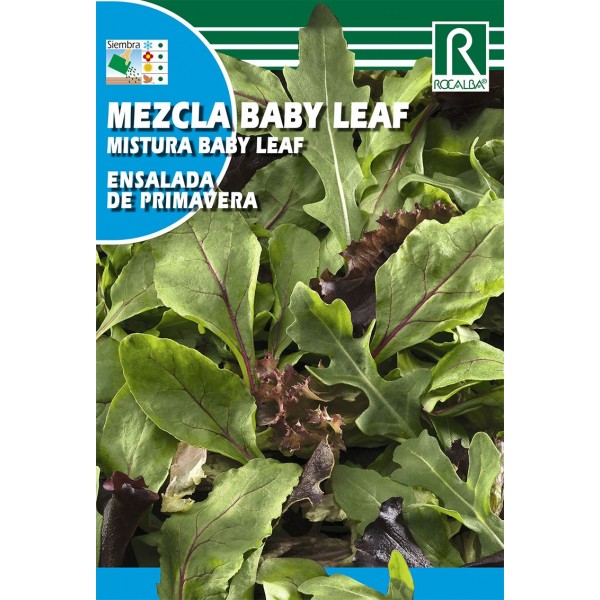 MEZCLA BABY LEAF LECHUGAS ENSALADA DE PRIMAVERA SEMILLA