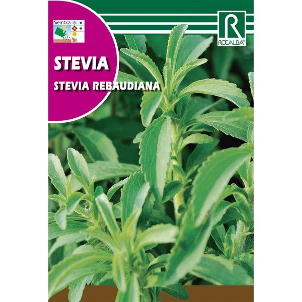 STEVIA SEMILLA