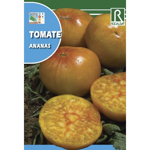 TOMATE ANANAS SEMILLA